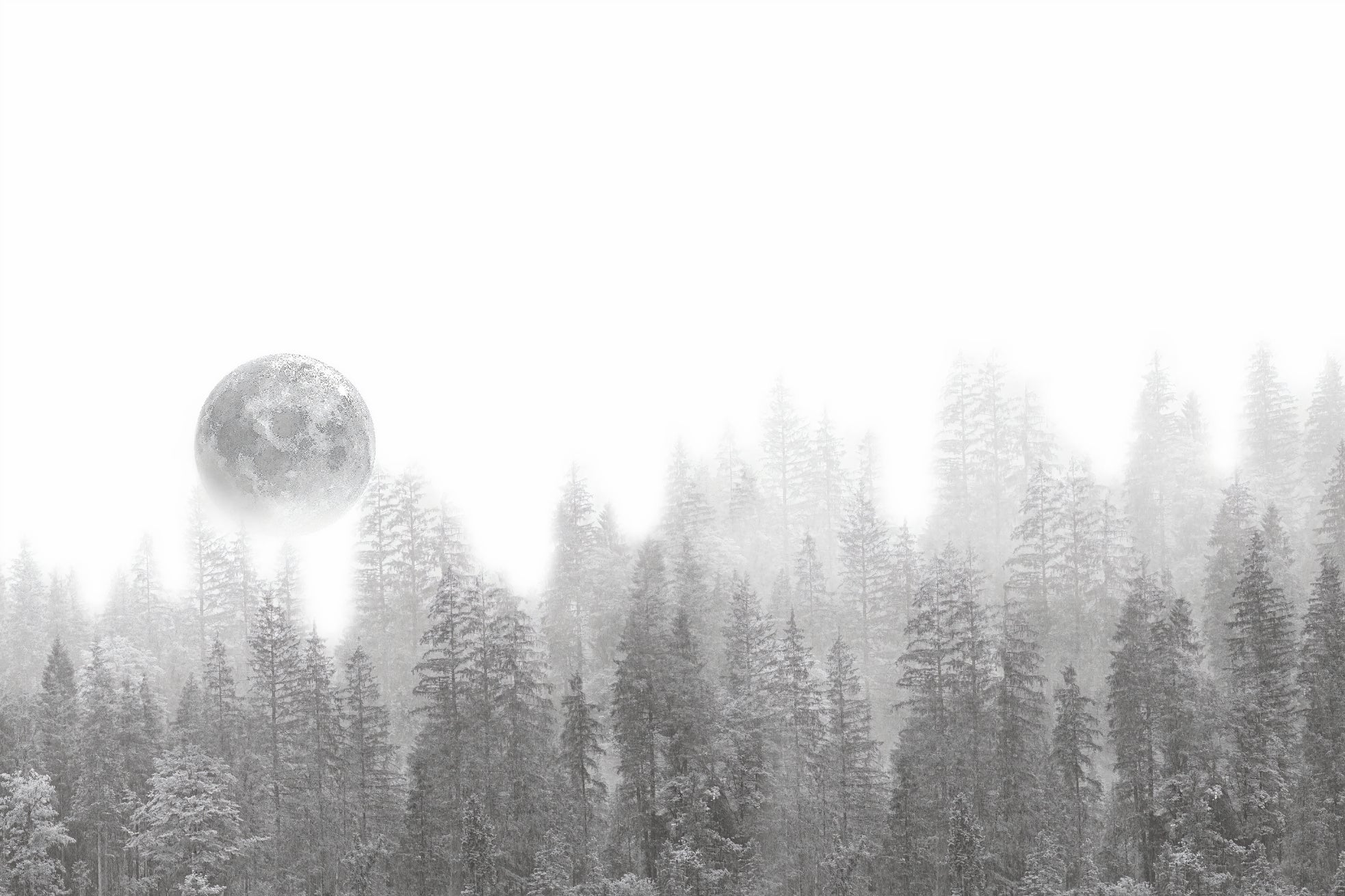 Misty Forest Moon Wallpaper