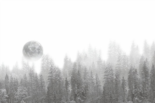 Misty Forest Moon Wallpaper