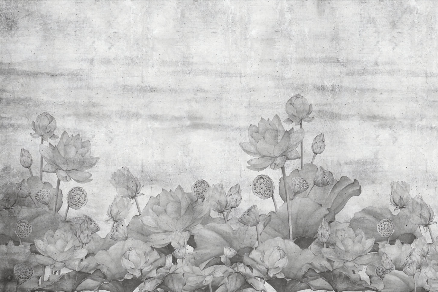 Grayscale Lotus Flower Wallpaper
