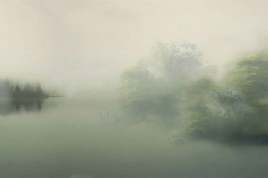 Misty Forest Wallpaper