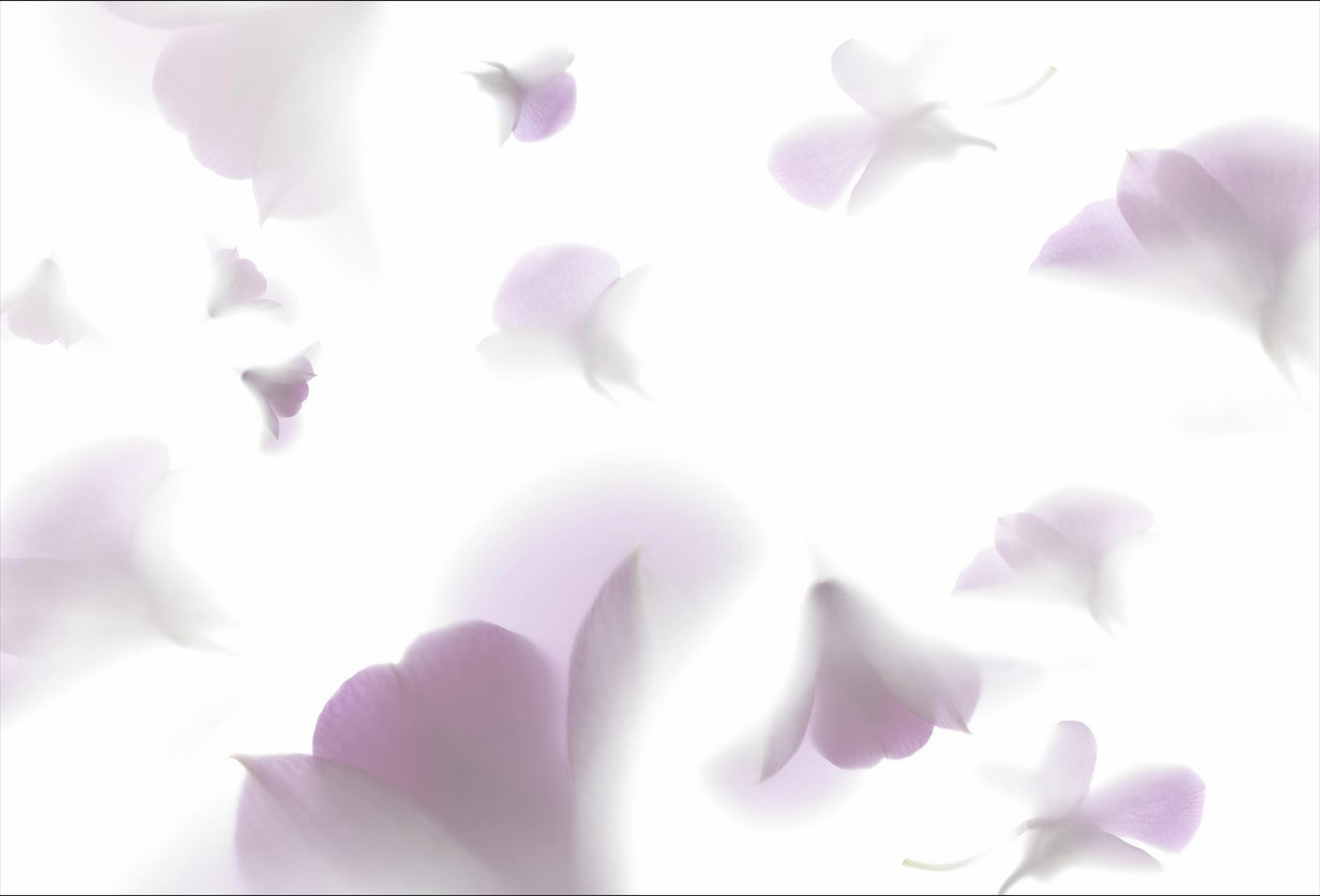 Soft Pastel Floral Wallpaper