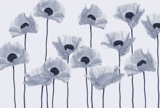 Modern Blue Poppy Wallpaper