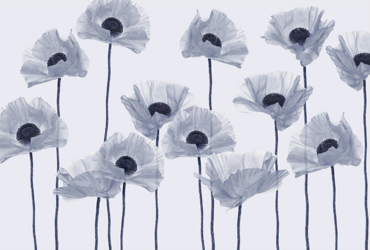 Modern Blue Poppy Wallpaper in your room — zoomed