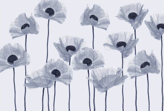 Modern Blue Poppy Wallpaper