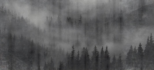 Misty Forest Black Wallpaper