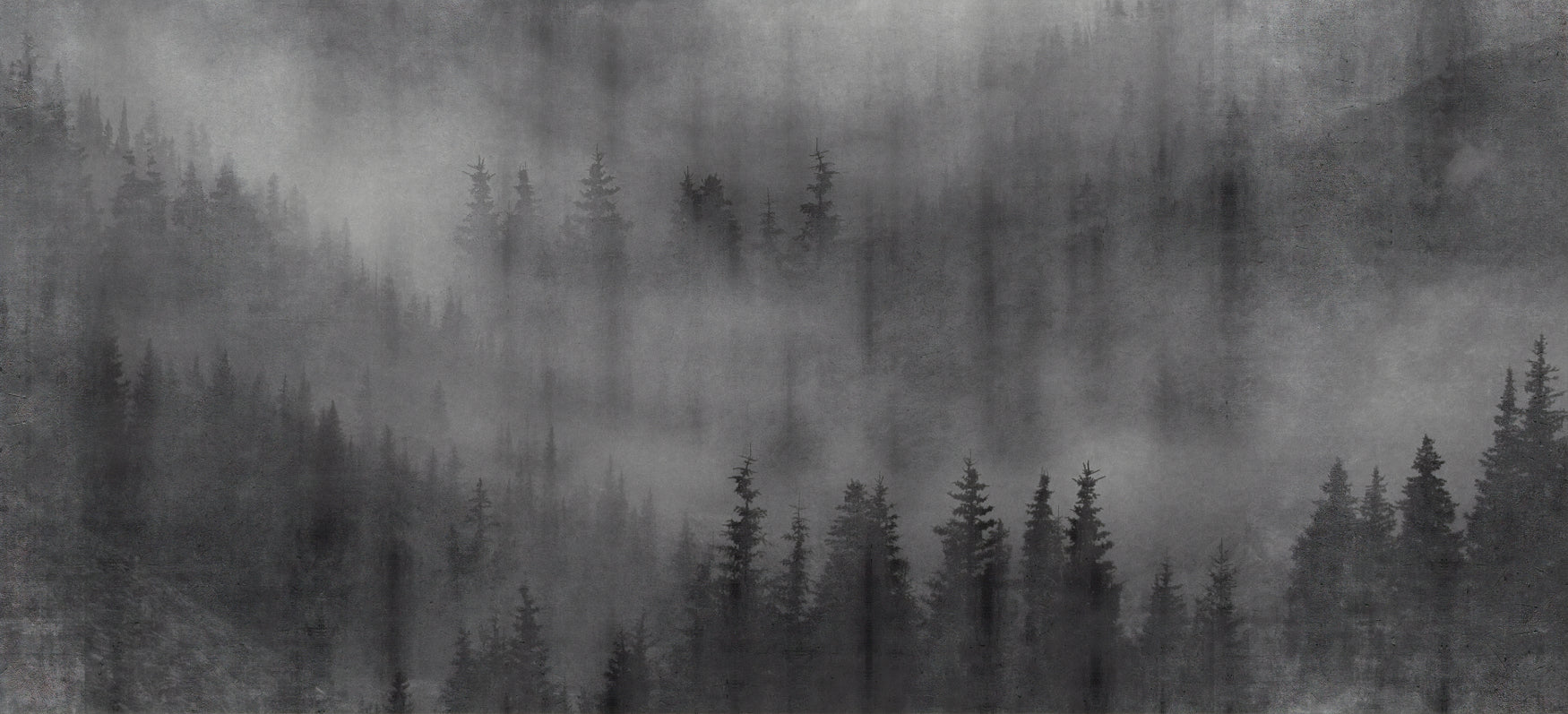 Misty Forest Black Wallpaper