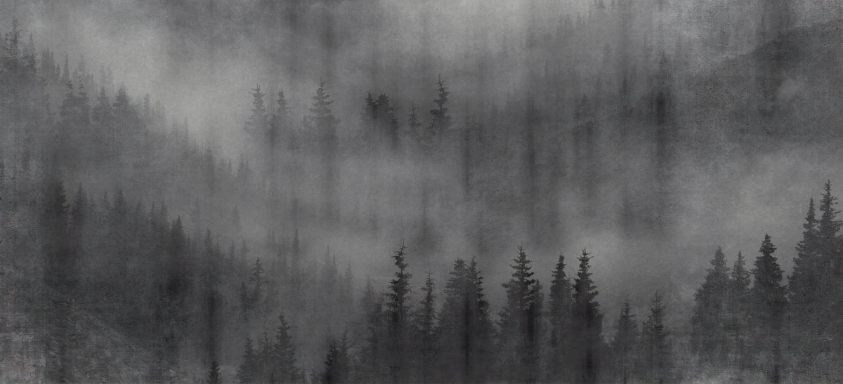 Misty Forest Black Wallpaper in your room — zoomed