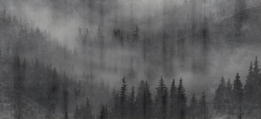 Misty Forest Black Wallpaper