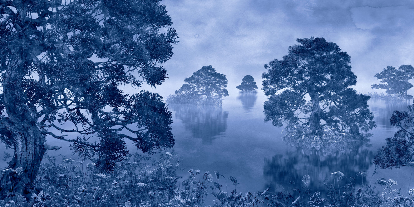 Foggy Pastel Trees Wallpaper