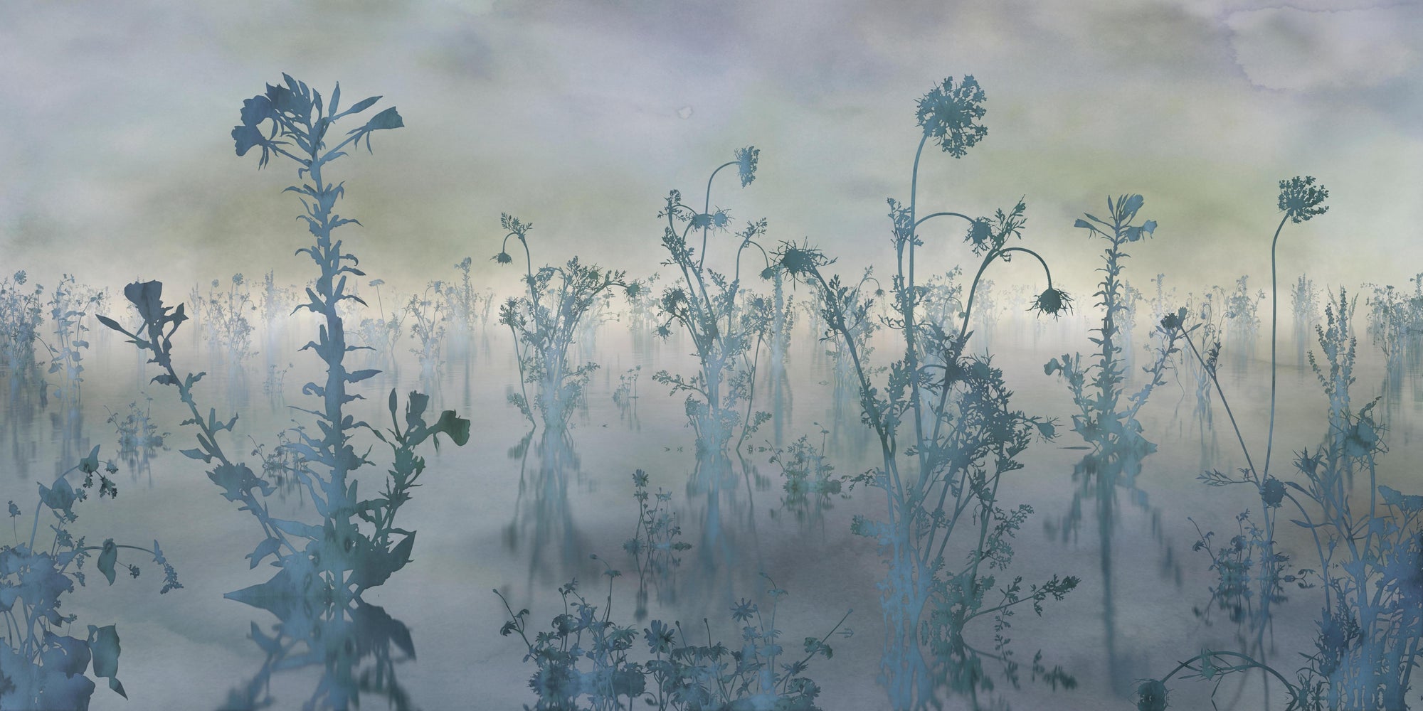 Wild Pastel Flowers Misty Nature Wallpaper Murals
