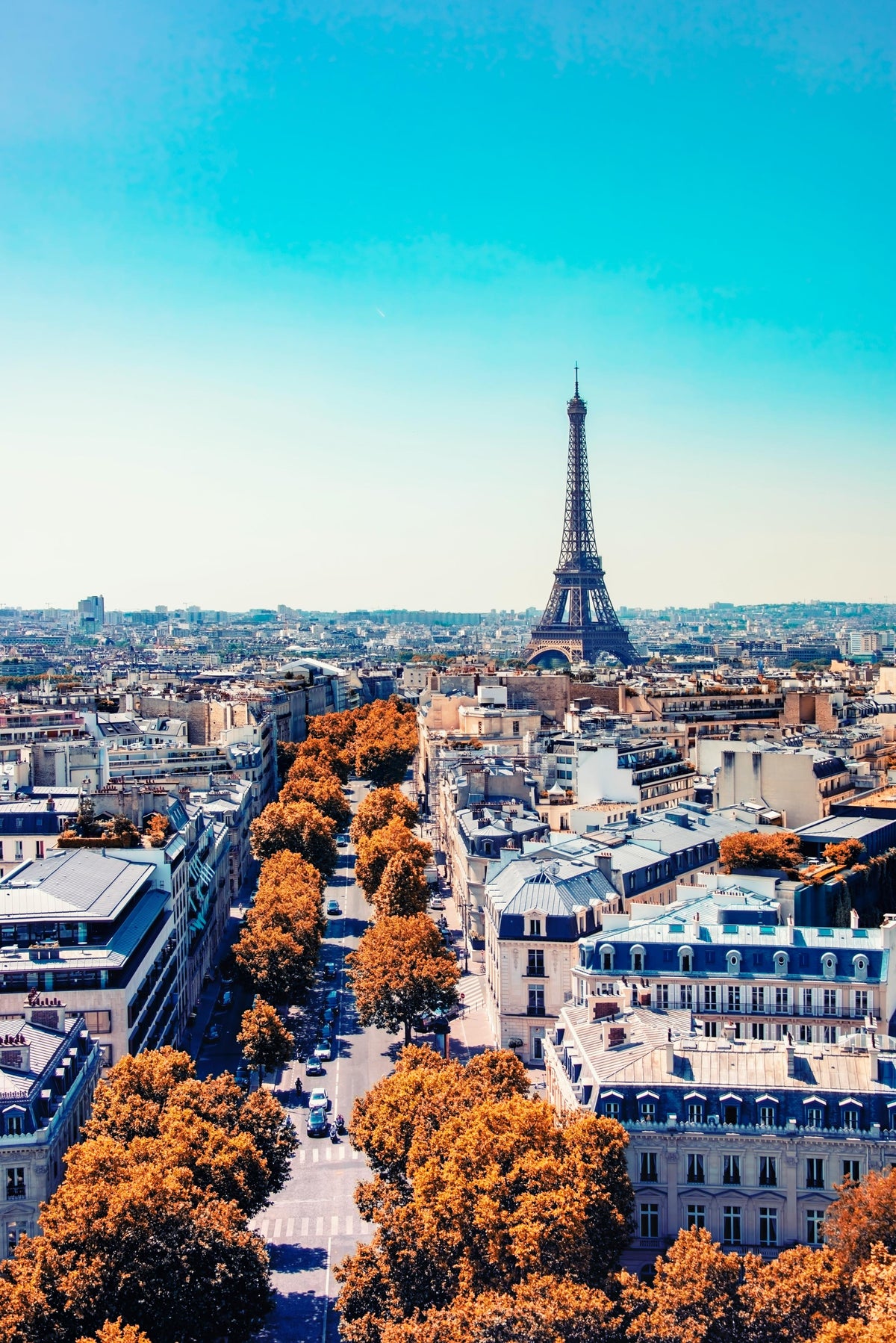Fall in Paris Wall Mural in your room — zoomed