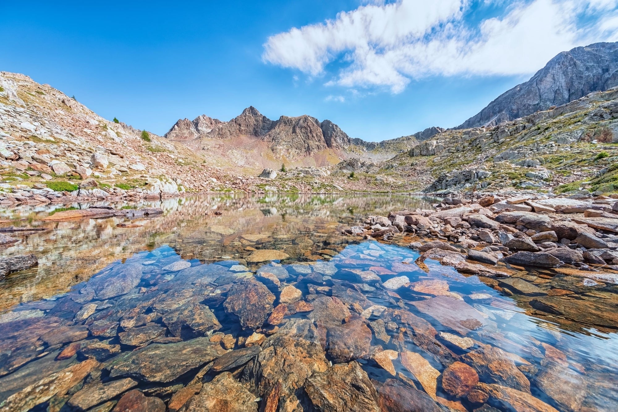 Alpine Serenity Wall Mural
