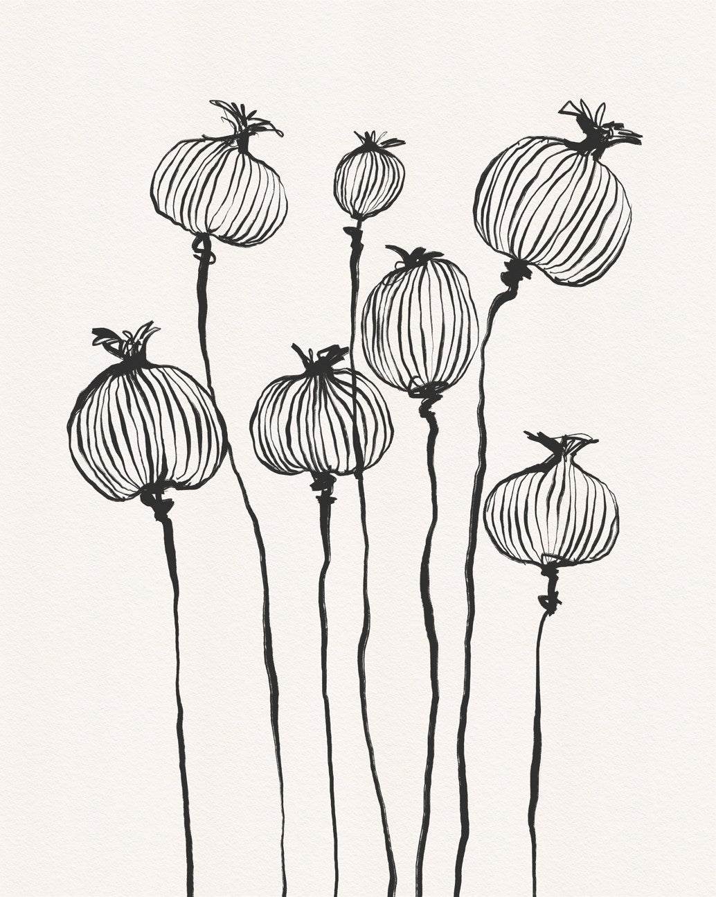 Ink Poppy Pods Wall Mural
