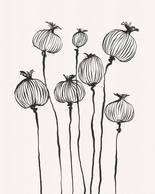 Ink Poppy Pods Wall Mural