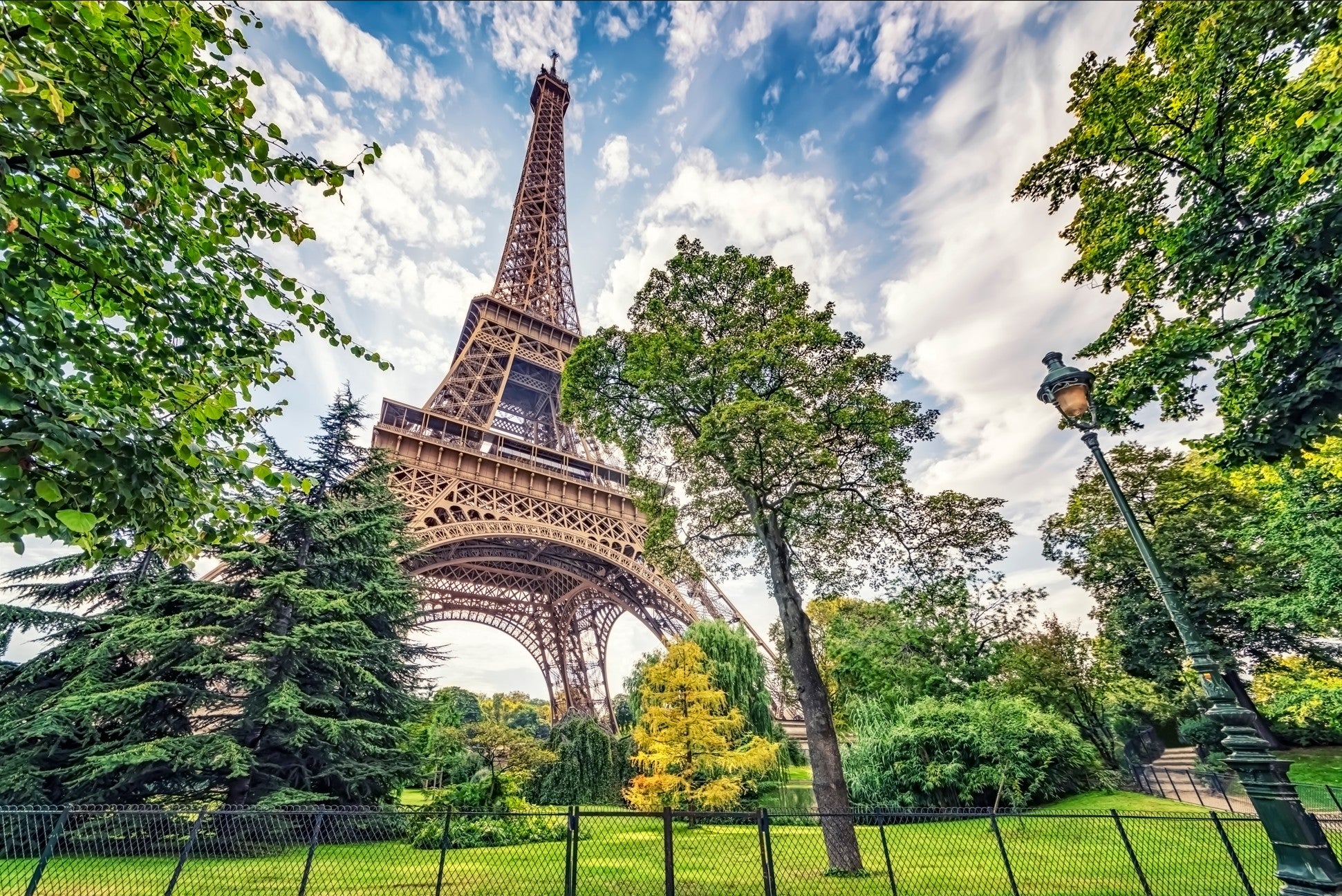 Eiffel Tower Greens Wall Mural