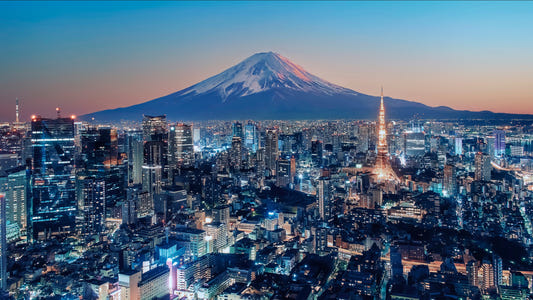 Tokyo Twilight Wall Mural