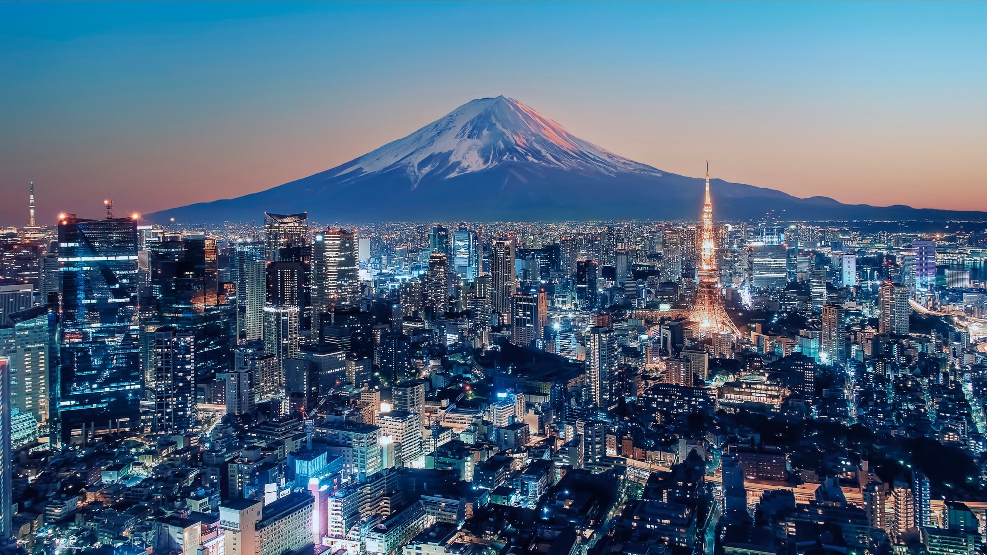 Tokyo Twilight Wall Mural