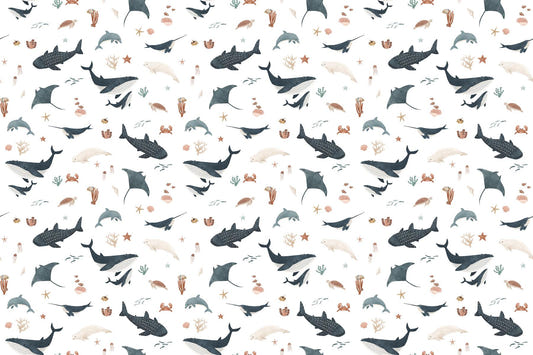 White Ocean Giants Marine Wallpaper