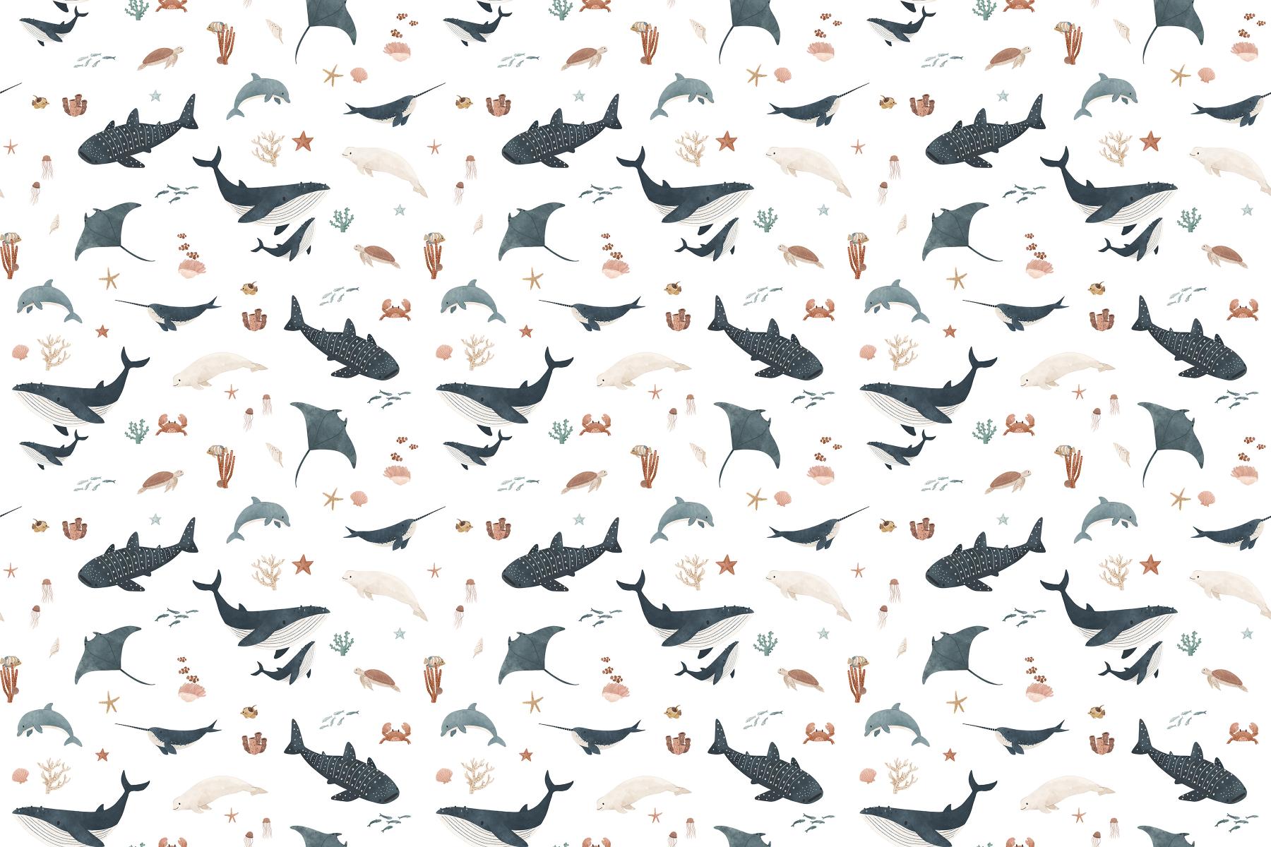 White Ocean Giants Marine Wallpaper