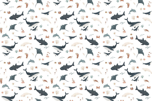 White Ocean Giants Marine Wallpaper