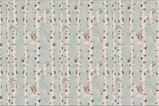 Owl Birch Forest Wallpaper - Blue