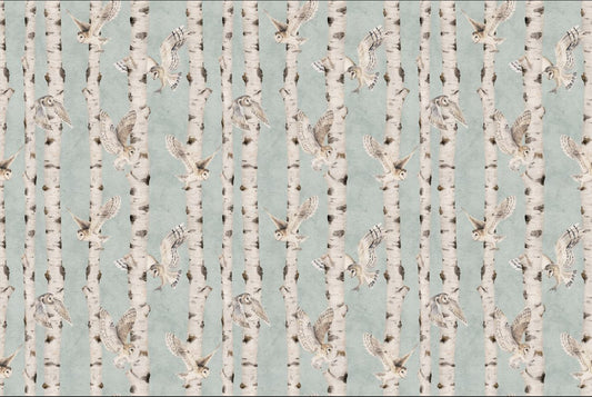Owl Birch Forest Wallpaper - Blue