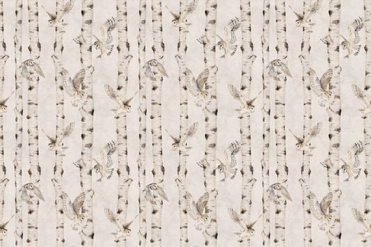 Owl Birch Forest Wallpaper - White