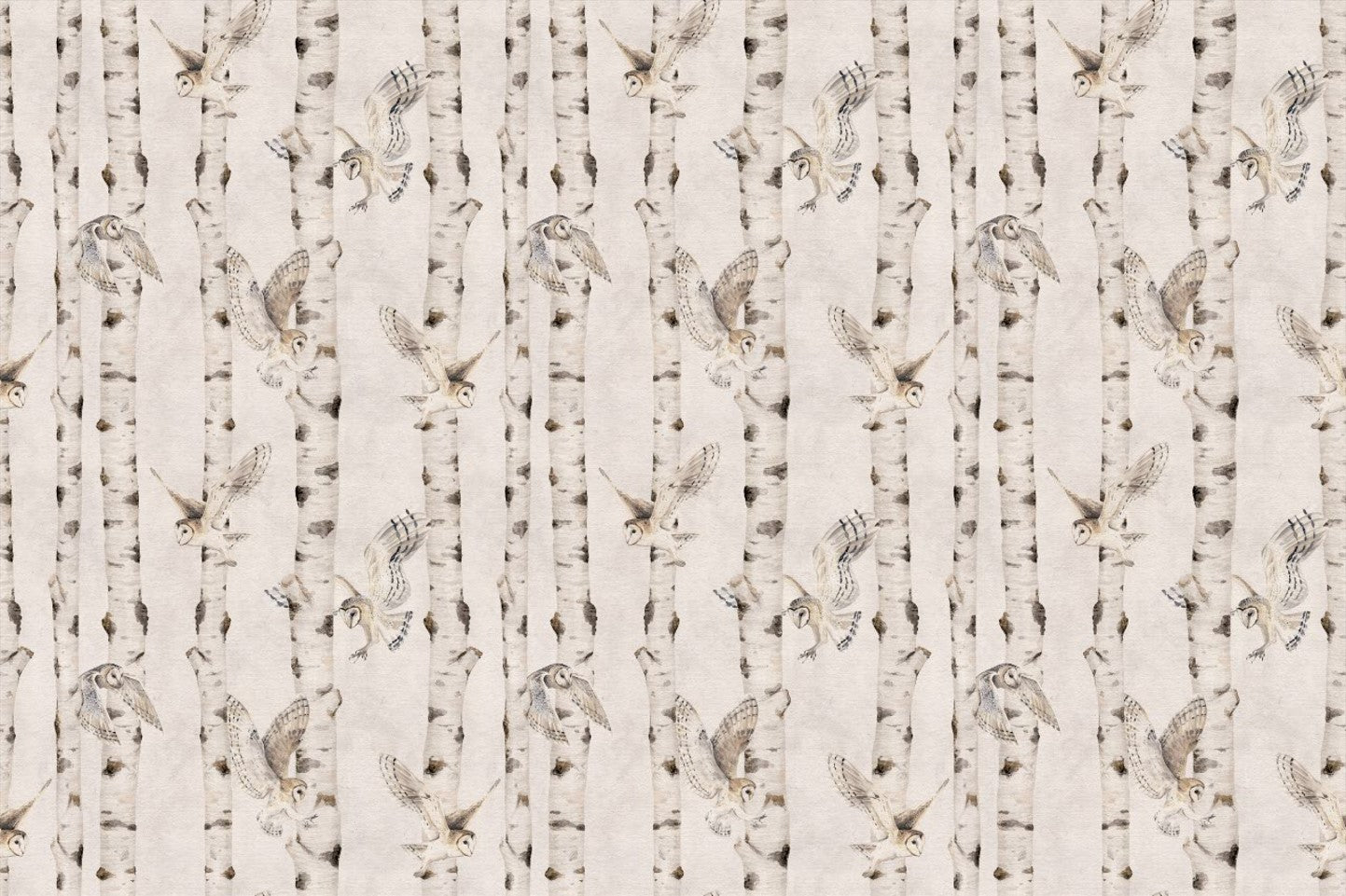 Owl Birch Forest Wallpaper - White