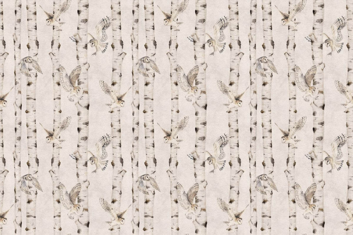 Owl Birch Forest Wallpaper - White in your room — zoomed