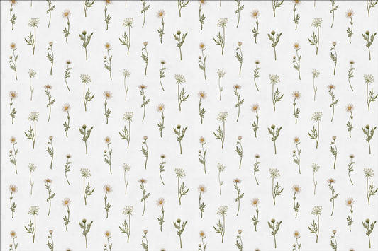 Soft White Wildflower Wallpaper