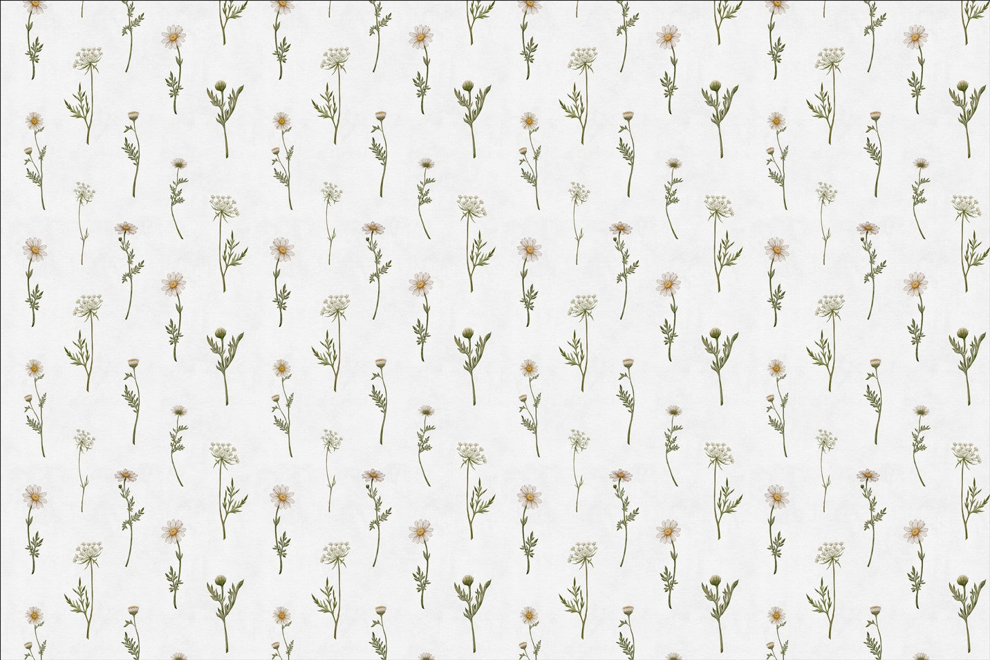 Soft White Wildflower Wallpaper