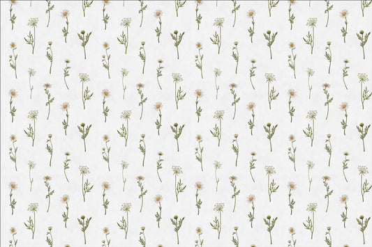 Soft White Wildflower Wallpaper