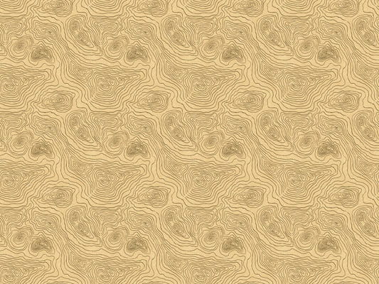Contours Land Wallpaper Murals