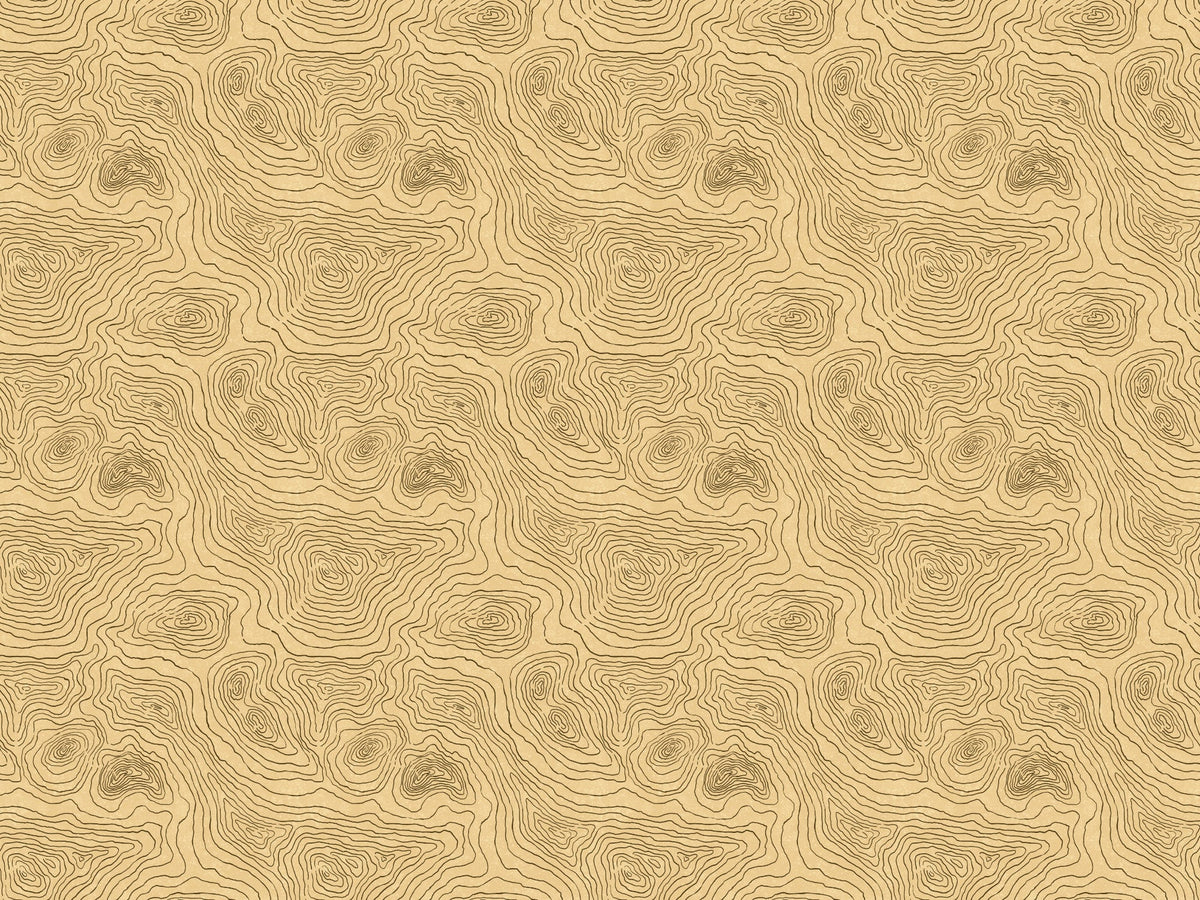Contours Land Wallpaper Murals