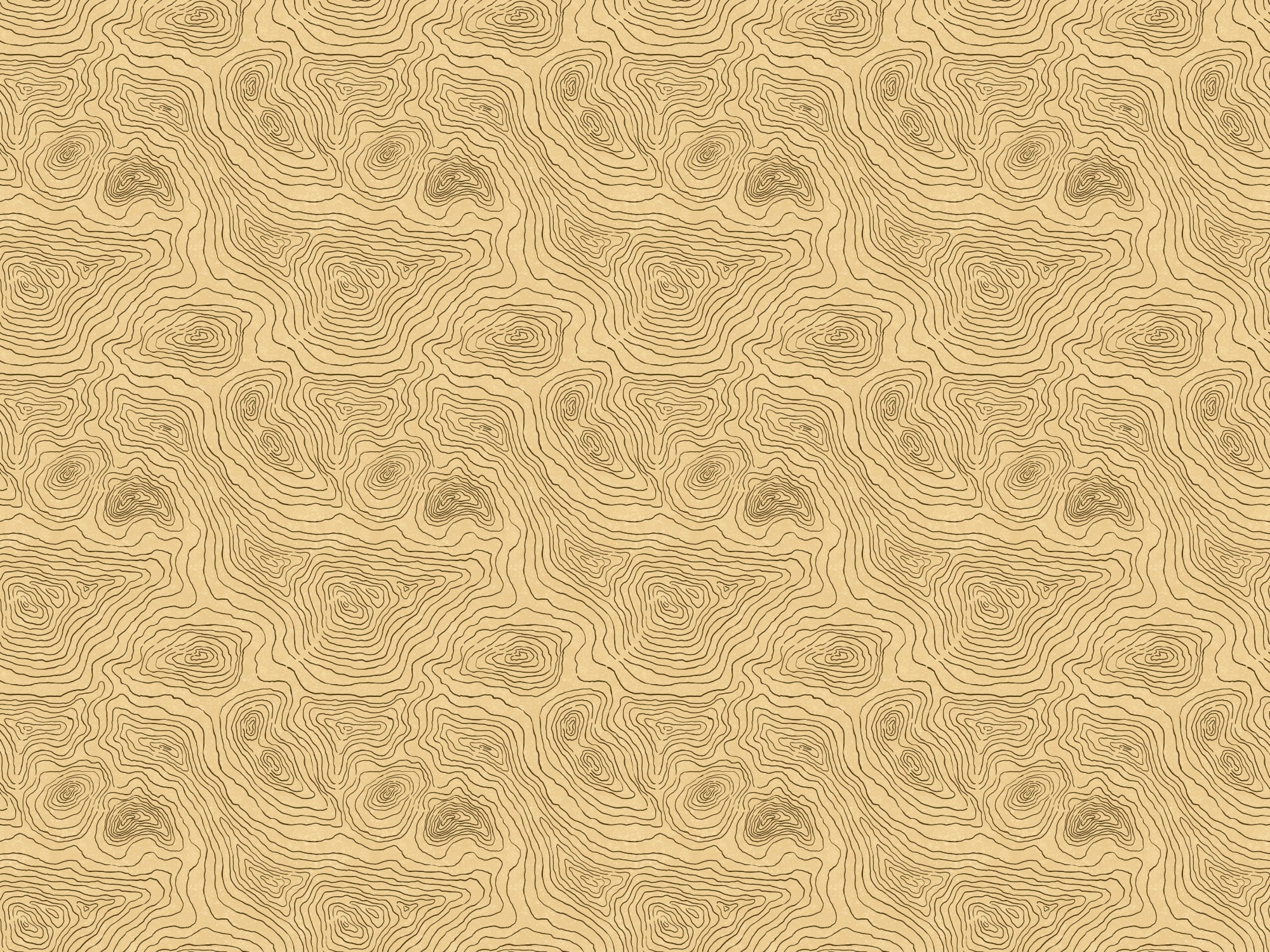 Contours Land Wallpaper Murals in your room — zoomed