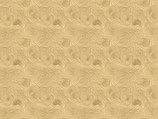 Contours Land Wallpaper Murals
