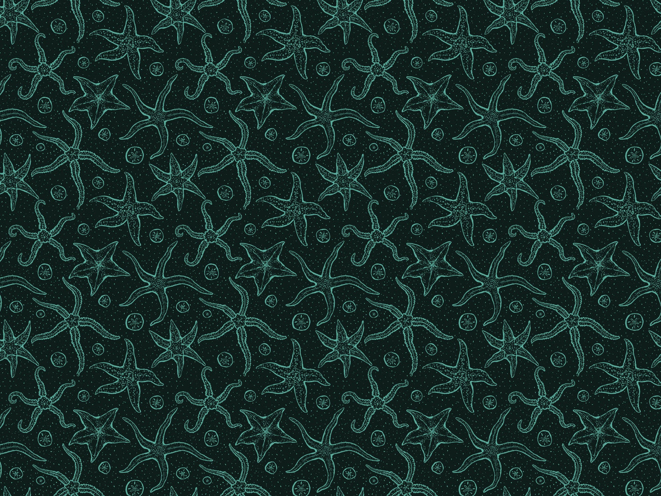 Dark Blue Echinoderms Wallpaper