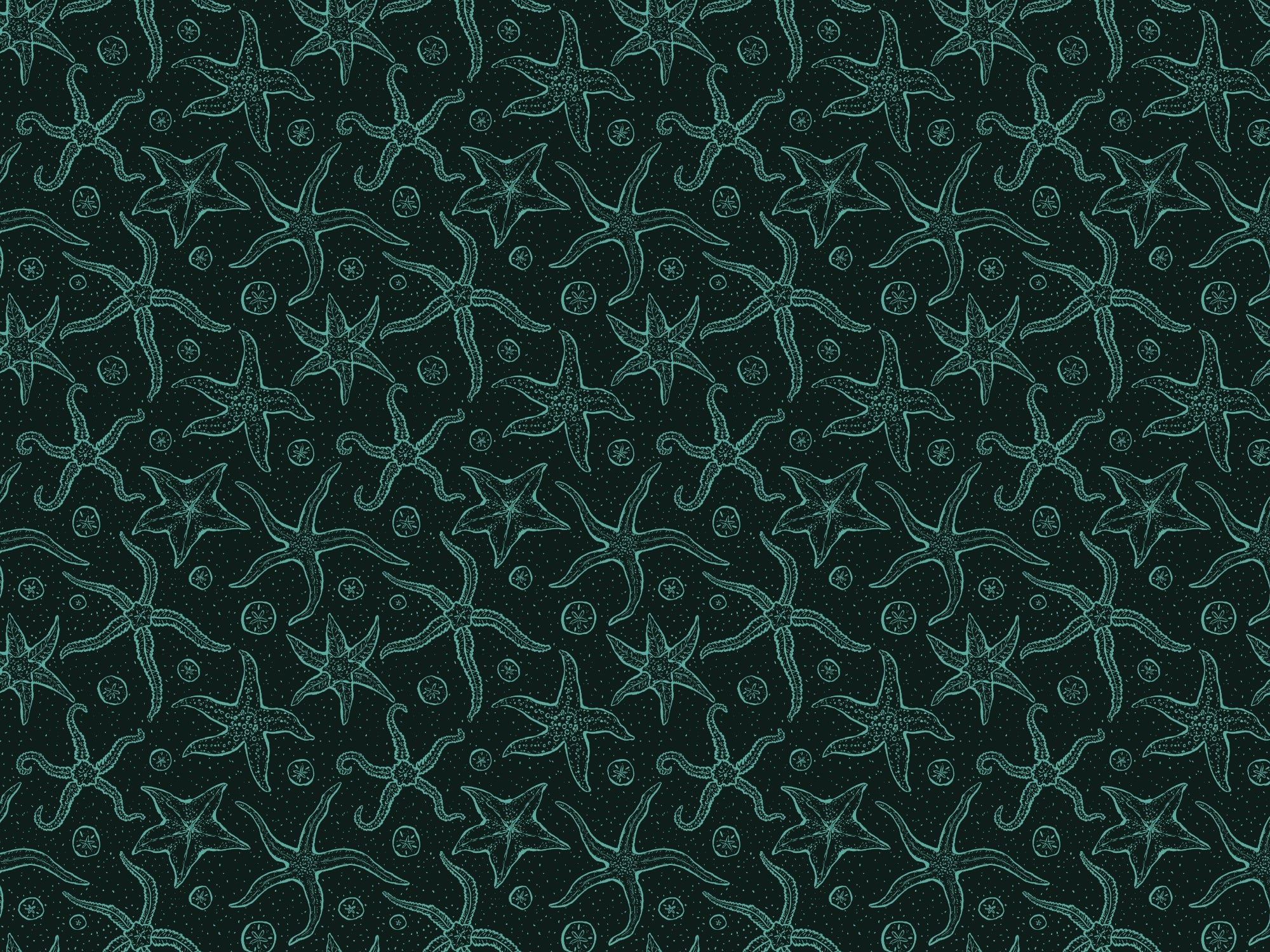 Dark Blue Echinoderms Wallpaper