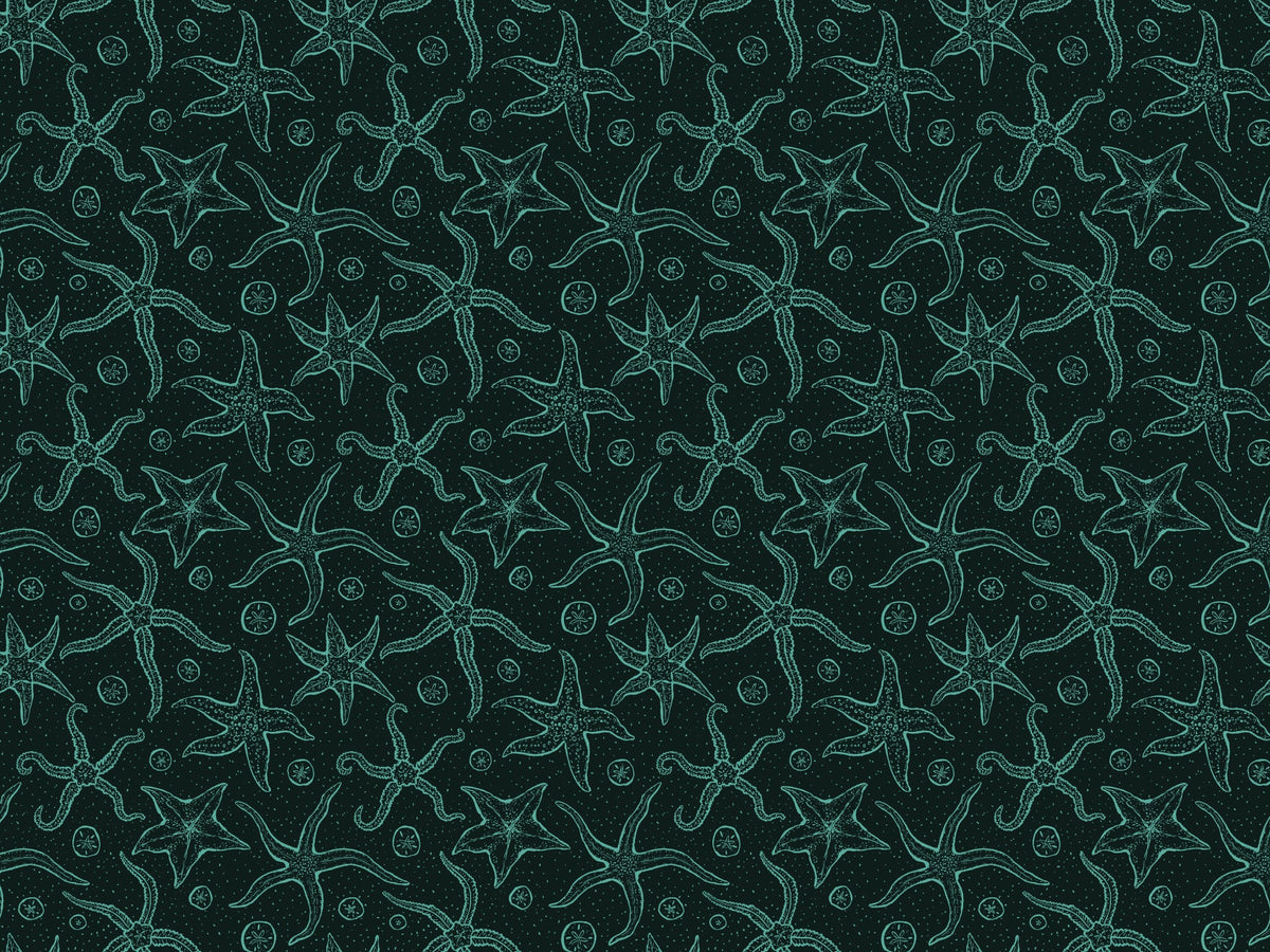 Dark Blue Echinoderms Wallpaper in your room — zoomed