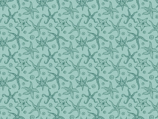 Light Blue Echinoderms Wallpaper