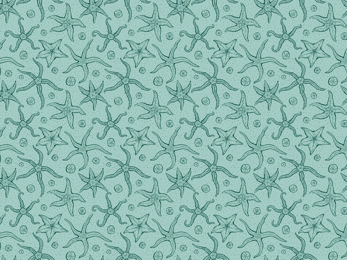Light Blue Echinoderms Wallpaper in your room — zoomed