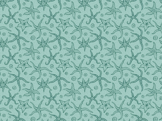 Light Blue Echinoderms Wallpaper