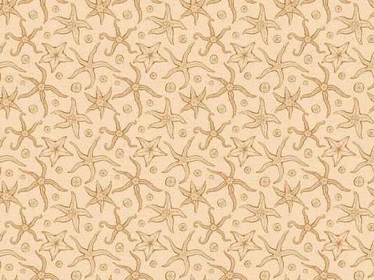 Warm Brown Echinoderms Wallpaper