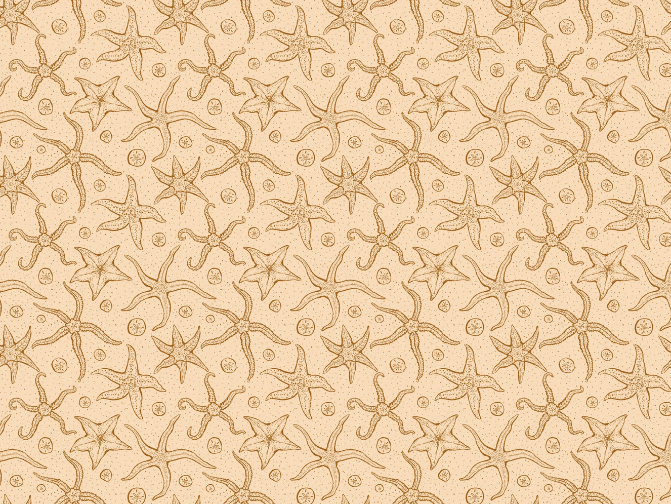 Warm Brown Echinoderms Wallpaper