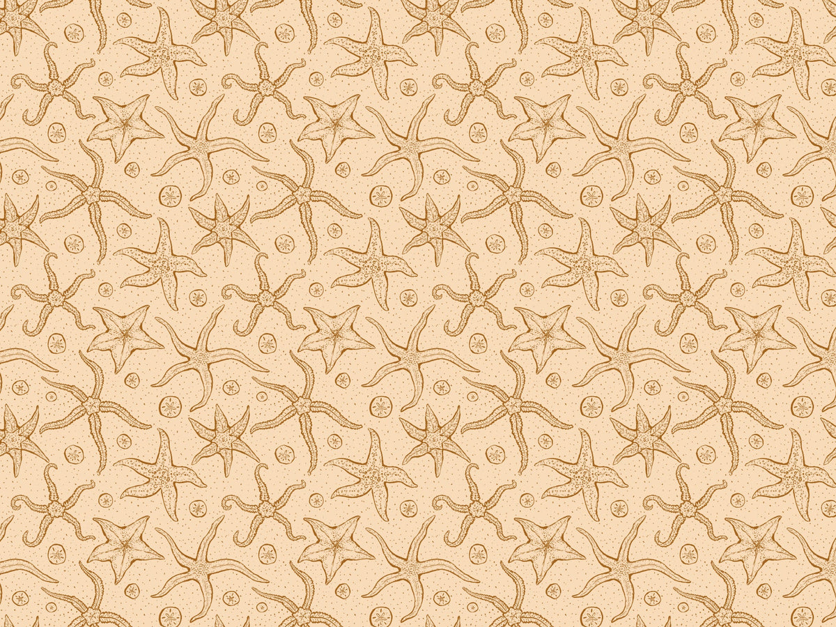 Warm Brown Echinoderms Wallpaper in your room — zoomed