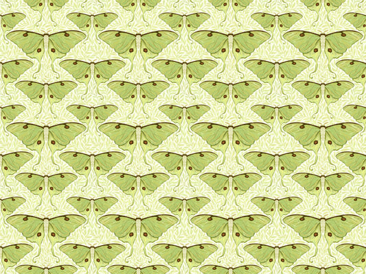 Luna Moth and Leaves Wallpaper for Walls
