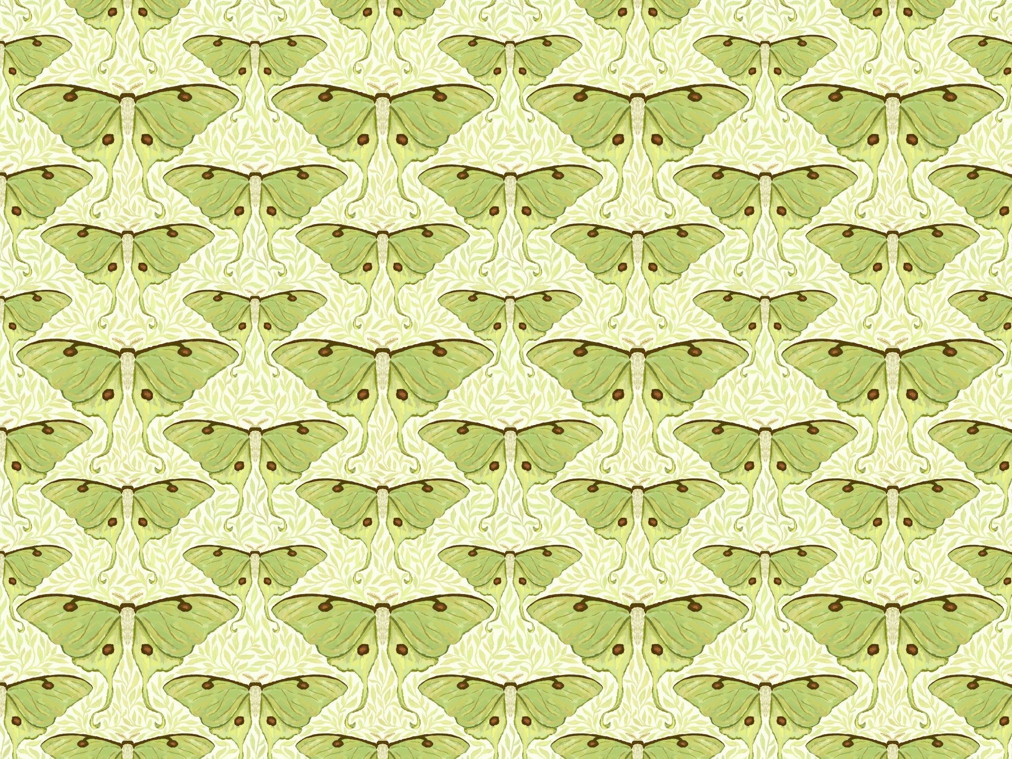 Luna Moth and Leaves Wallpaper for Walls
