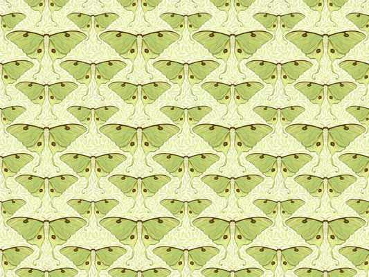 Luna Moth and Leaves Wallpaper for Walls