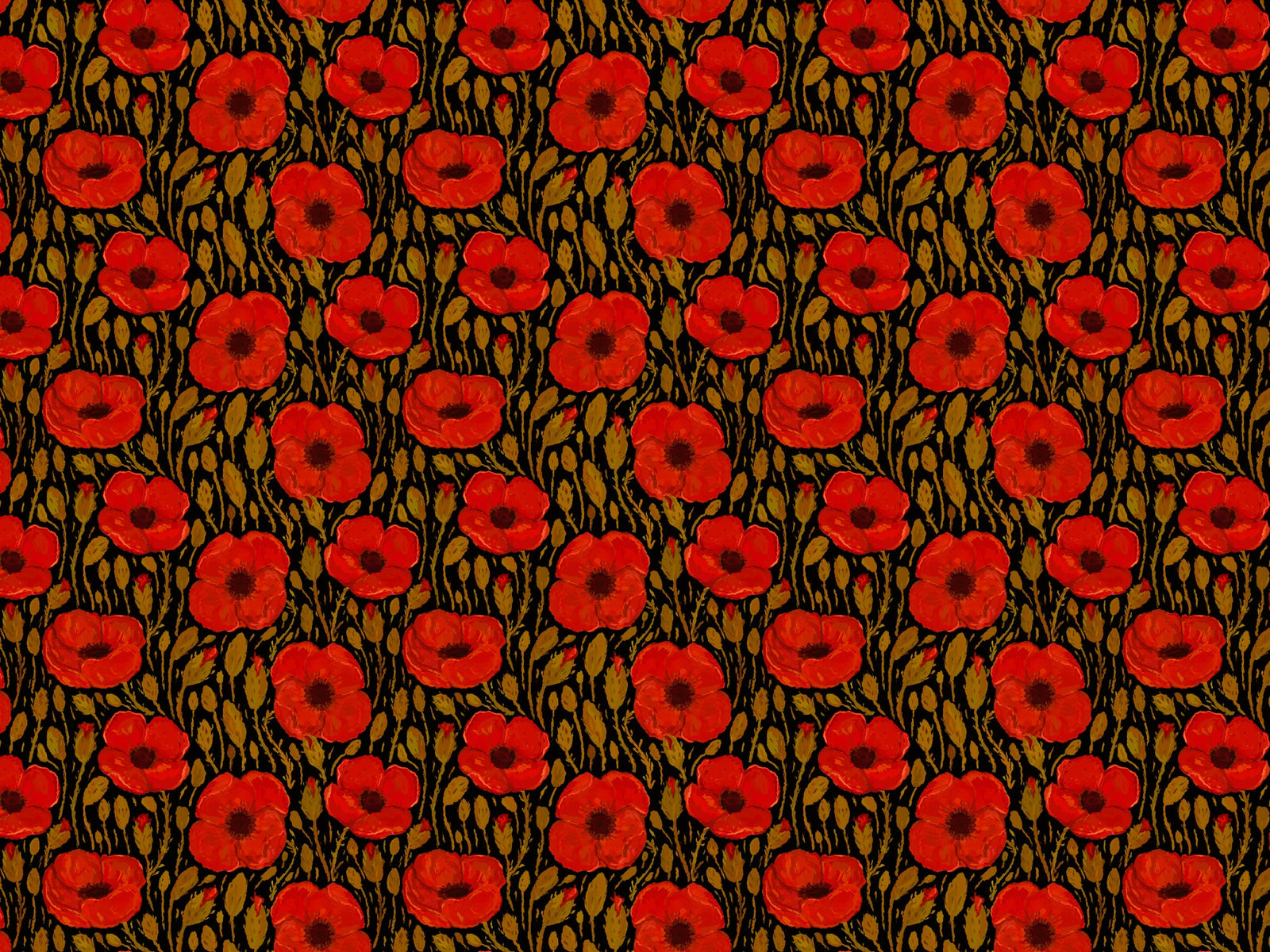 Dark Red Poppy Wallpaper