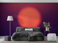 A delicate abstract sun wallpaper mural for a feature wall.

